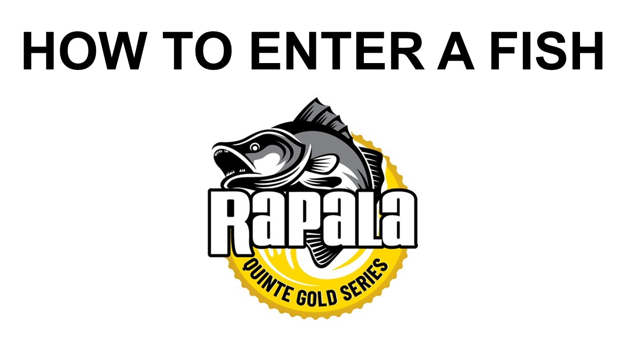 How To Enter A Fish